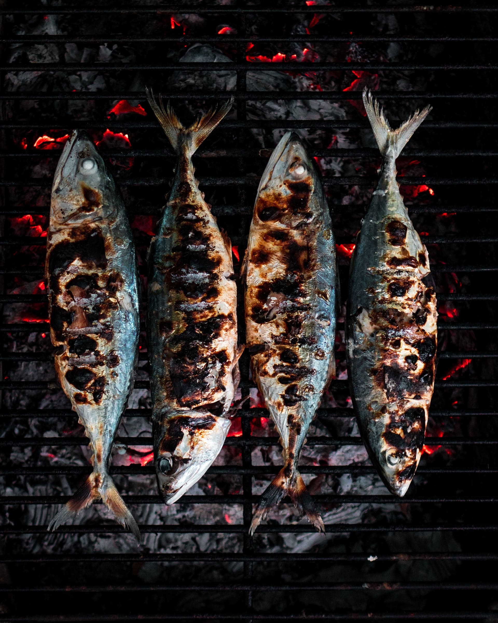 sardines clint bustrillos 3 M4NxDo89A unsplash 1 1