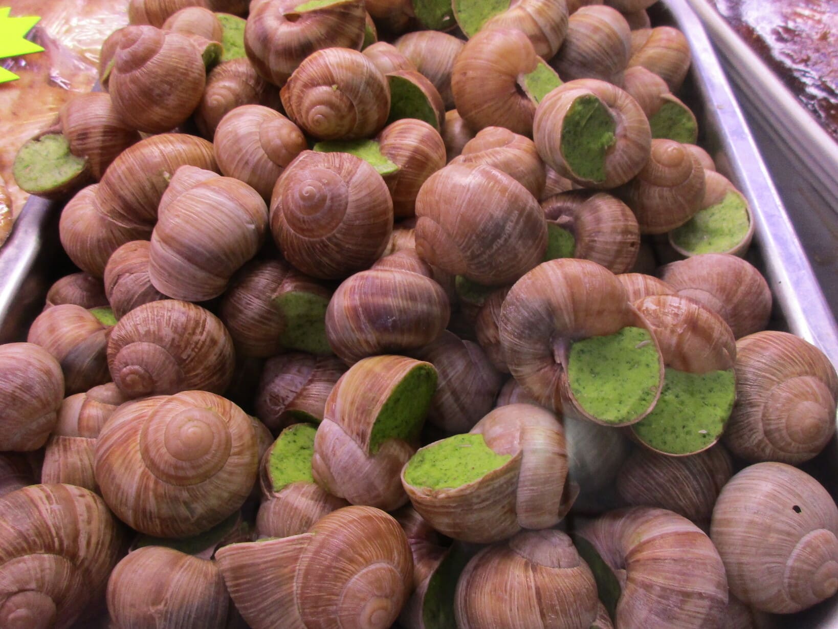 Escargot de Bourgogne 019 1 1